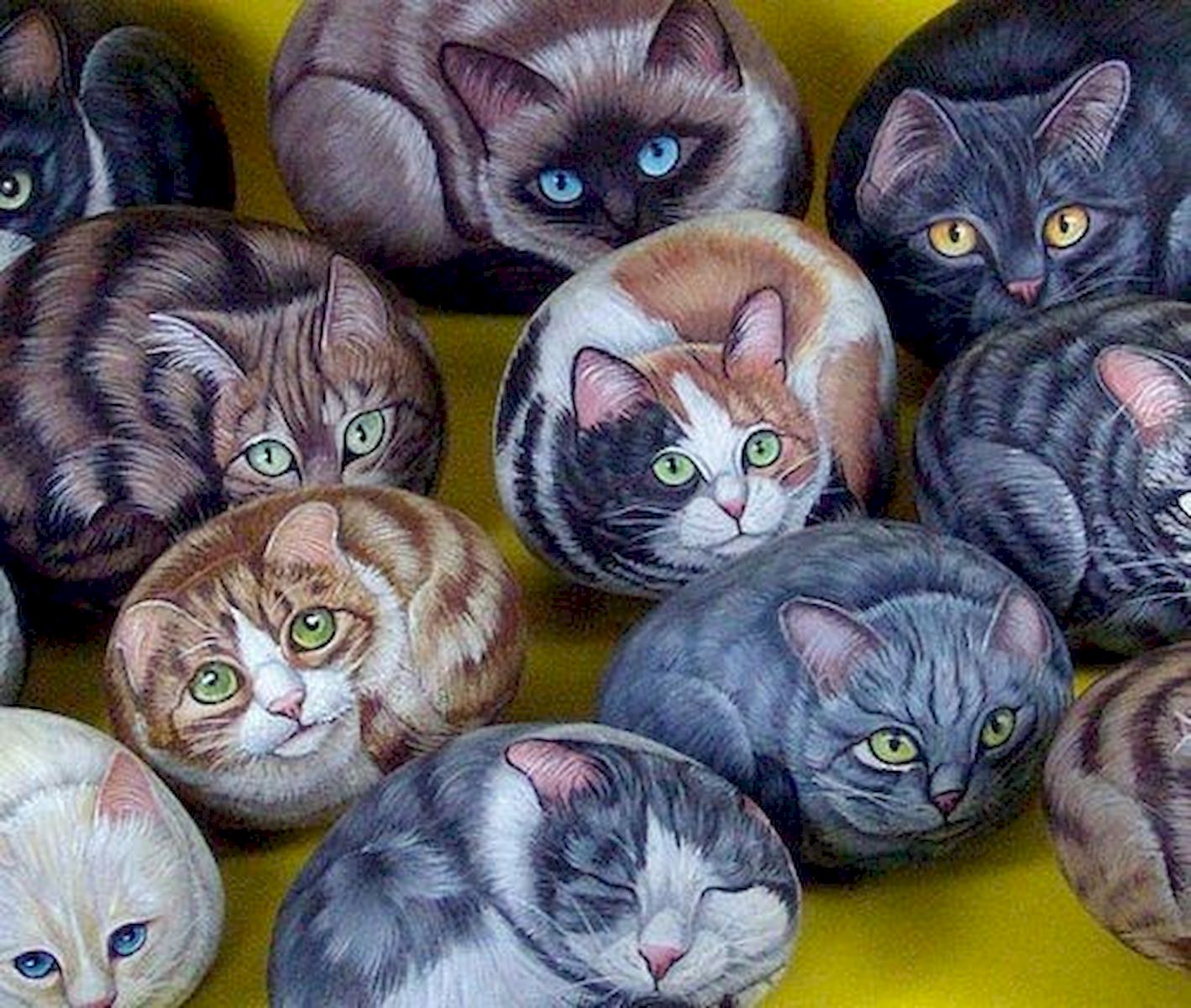 50 Best DIY Painted Rocks Animals Cats For Summer Ideas (2)