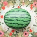 40 Awesome DIY Painted Rocks Fruits Ideas (34)