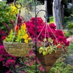 50 Awesome DIY Hanging Plants Ideas For Modern Backyard Garden (15)