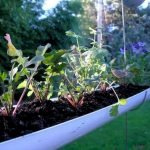 50 Awesome DIY Hanging Plants Ideas For Modern Backyard Garden (6)
