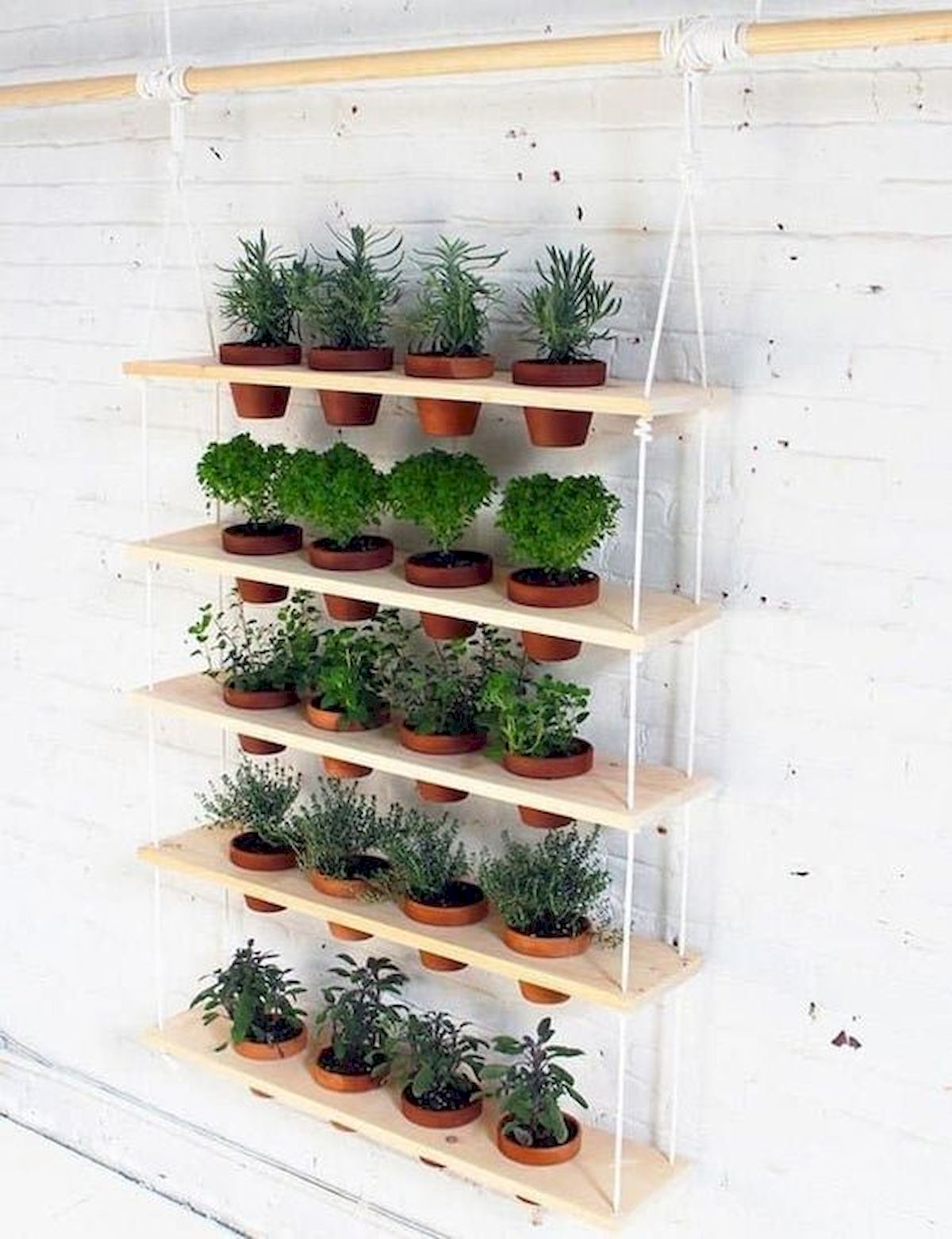 44 Creative DIY Vertical Garden Ideas To Make Your Home Beautiful (7)