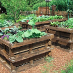 Nice Things To Do With Pallets In The Garden